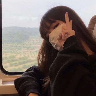 口袋宠物下载安装