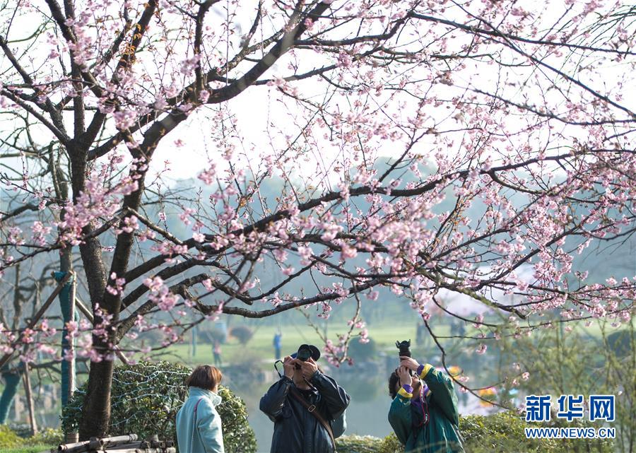 福州市仓山区市场监管局筑牢冷链食品疫情防控“隔离墙”